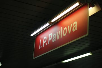 Pavlova in a Glass