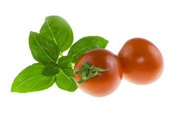 Four Cheese Panini With Basil Tomatoes