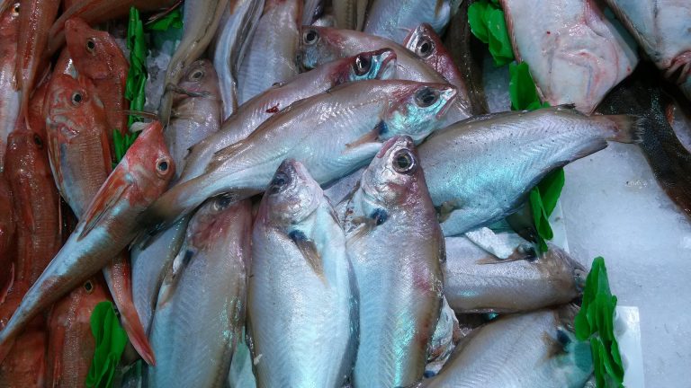 Whiting