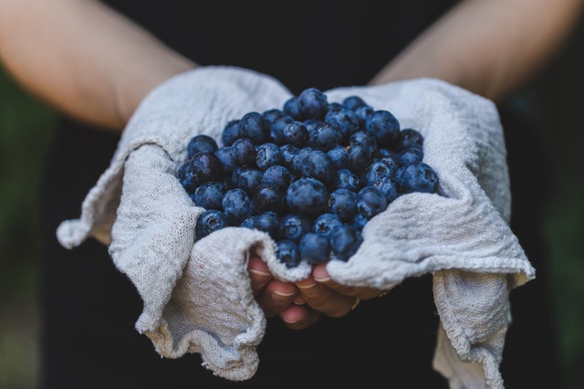 Blueberries recipes