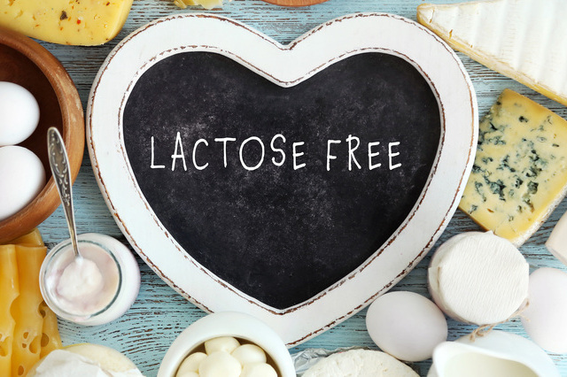 Lactose free recipes