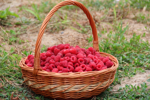 Raspberries recipes